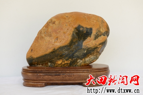 题名：海狮 石种：大田彩蜡石 规格：27-21-12cm.JPG